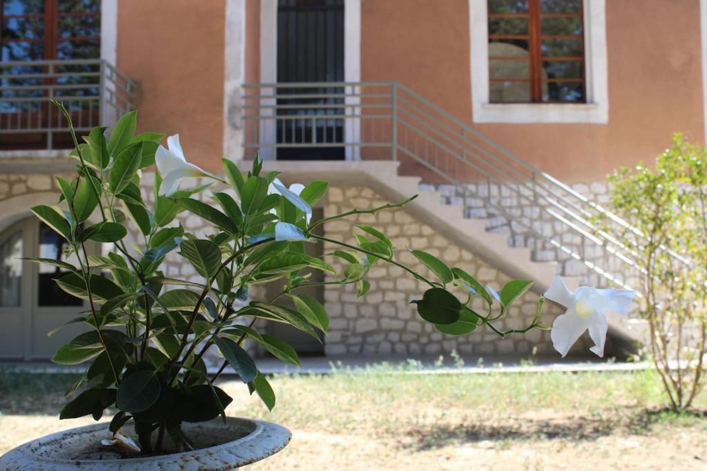 La Provencale Leilighet Uzès Eksteriør bilde